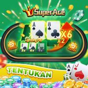 664bet