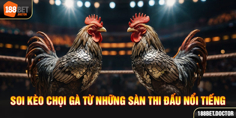 betandyou